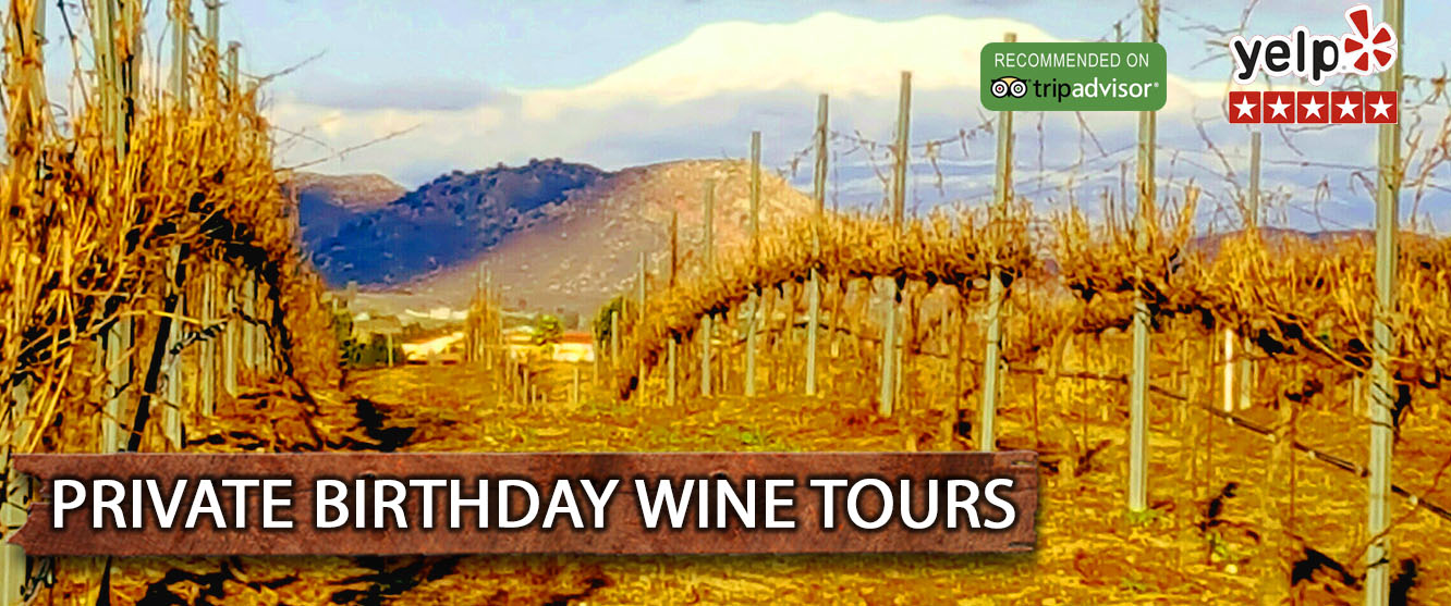 vineyard-snow-wine-tour-birthday.jpg